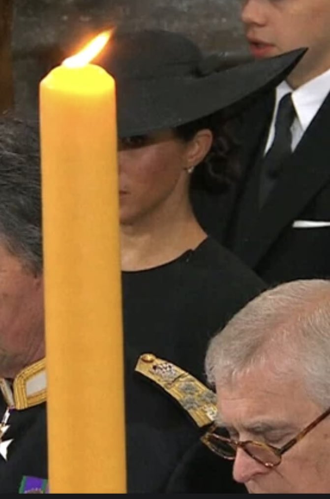 Oddie The Ðoge tweet media