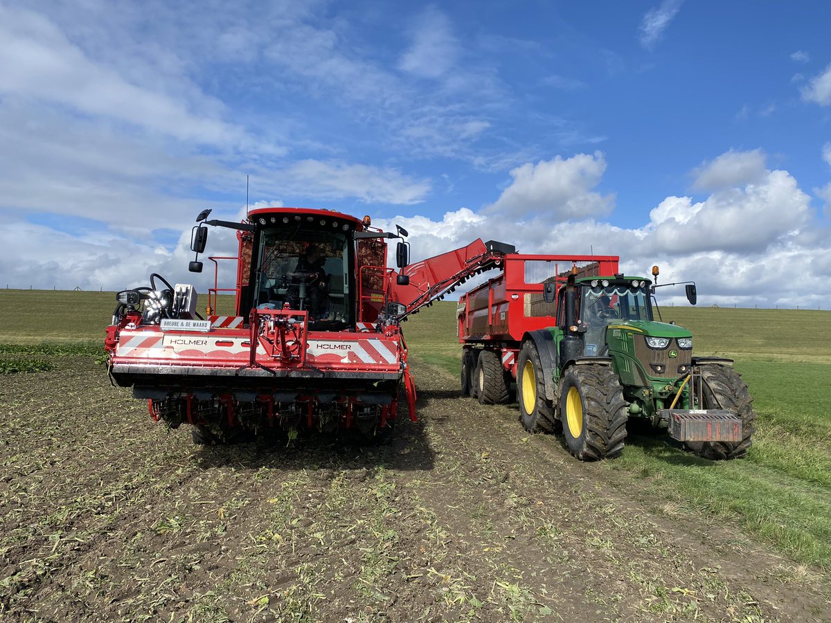 Jeffrey Mul tweet media