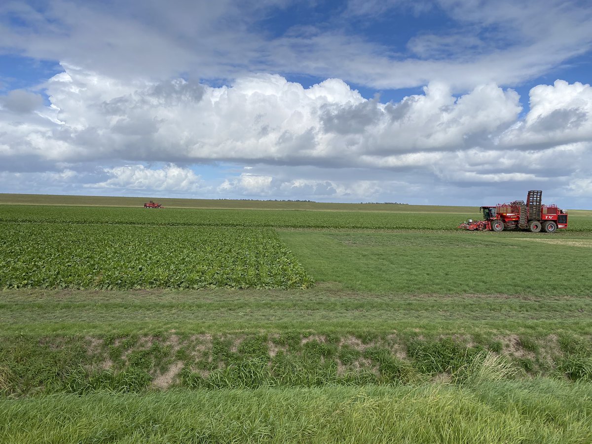 Jeffrey Mul tweet media