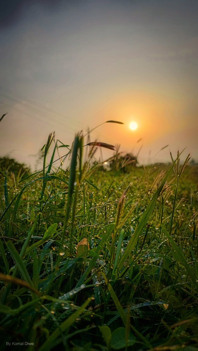 Komal_Diwe's tweet image. Day 39, Day 40 / #100DaysOfCode 
with #SQL and #statisticsbook

✅ Solved some questions of SQL on #stratascratch
✅ Reading &quot;The Art of Statistics&quot;
** need to complete reading soon 😅