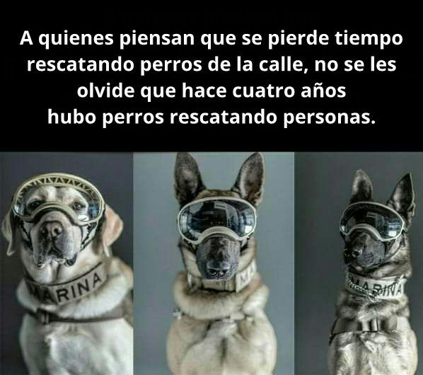 aefo74_lml's tweet photo. #19S1985
#19S2017 https://t.co/YlRBpJIh8T