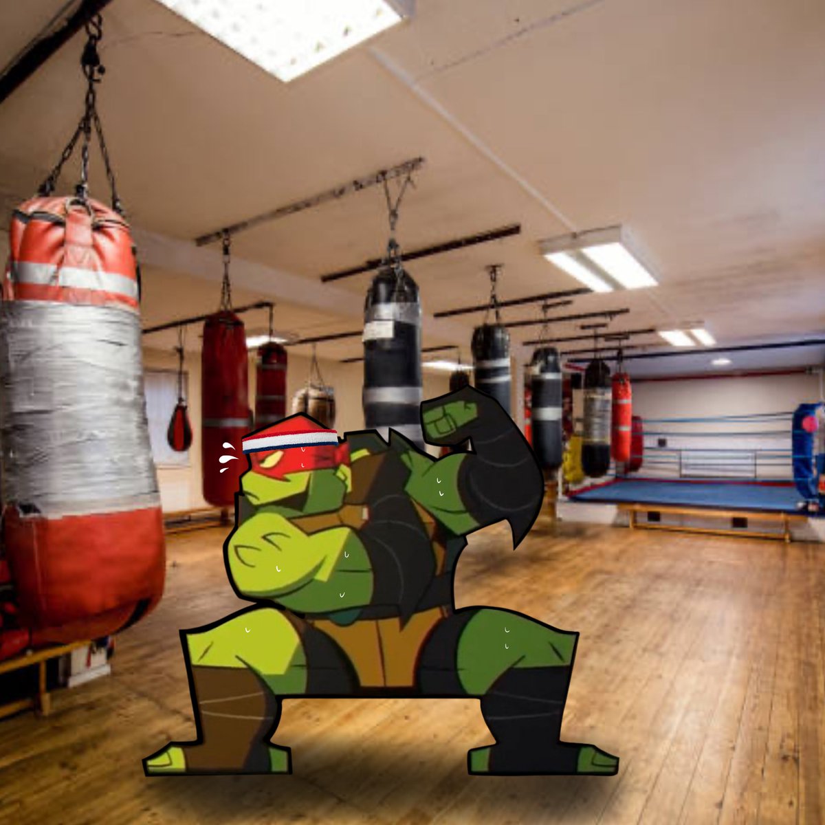 Raph In Places He Shouldn’t Be (@RaphHoneyNo) / Posts / X