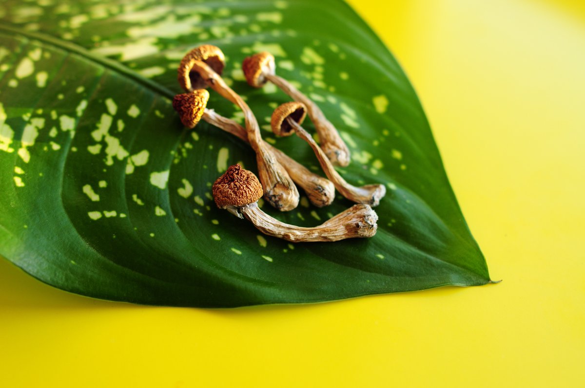 KCSA Strategic Communications tweet media