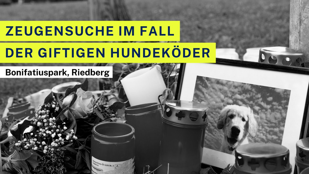Polizei_Ffm's tweet photo. #Zeugensuche im Fall der giftigen Hundeköder!

Uns sind derzeit 11 Fälle bekannt. In bisher 7 dieser Fälle sind die Hunde verstorben. Einige #Giftköder wurden sichergestellt und werden nun im Labor analysiert.

⚠️ Hinweise:
➡️  069 / 755 53110
➡️  https://t.co/xsZ9OaQNko https://t.co/YIdAWcLrS6