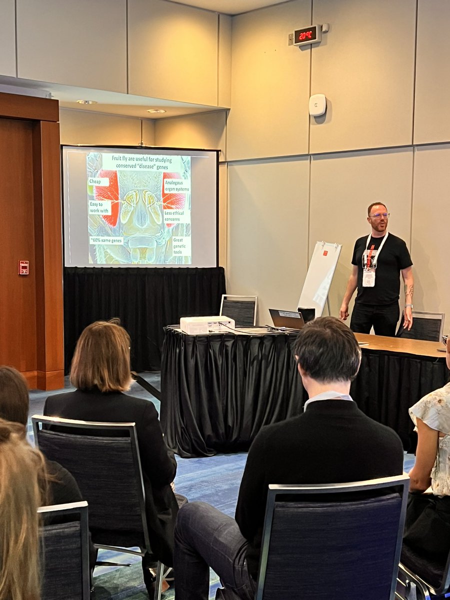 bdxlascelles's tweet photo. Greg Neely kicks off the Non-Human Pain SIG hands on workshop at @IASPCongress ! Automated pain assays in fruit flies to unravel the genetics of nociception https://t.co/UK0x5ZtgHV  @IASPpain https://t.co/3T0DGpxefY