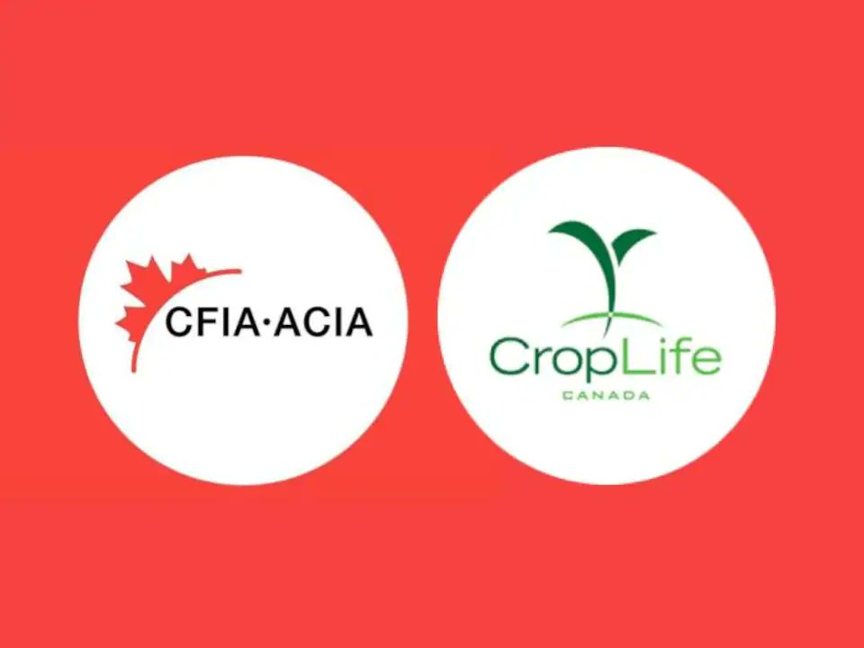 Le lobby CropLife Canada qui représente les intérêts des compagnies de semences, pesticides, engrais et fertilisants, comme Bayer, compte parmi ses cadres plusieurs ancien fonctionnaires qui oeuvraient sur ces dossiers au gouvernement fédéral. Contexte : ici.radio-canada.ca/nouvelle/19150…