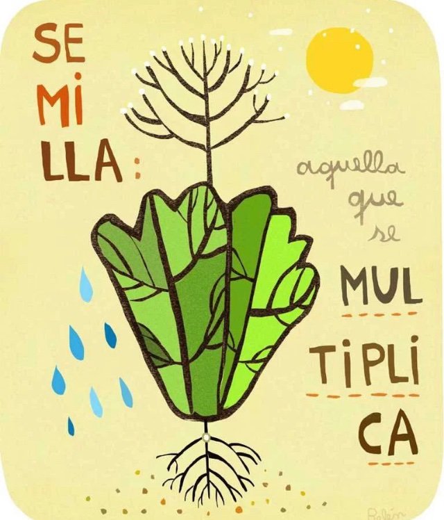RoyoManuela's tweet image. Con el #TPP11 peligra nuestra autonomía como guardianes de semillas libres, sin semilla no hay alimento, sin semilla no hay vida. 

#NOalTPP11 
#ChileSinTPP 
#NOmasTPP