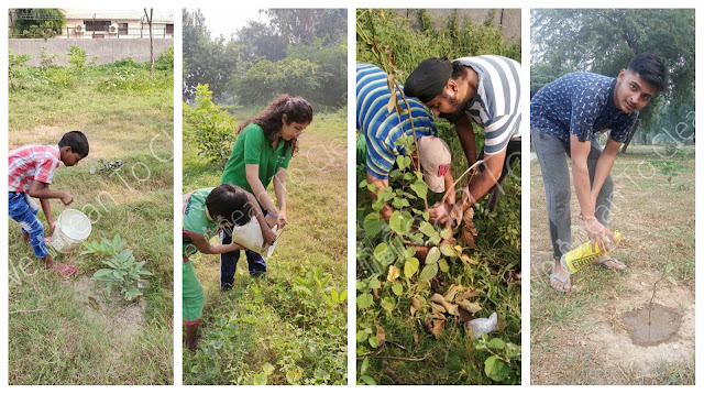 SwatiBhalla23's tweet photo. We are installing natural air purifiers
https://t.co/2d3yaRE2VP
#WeMeanToClean #CleanDelhi #SwachhBharat #AirPollution #DelhiPollution #Green #GlobalWarming #ClimateChange #Shramdaan #Afforestation #ClimateAction #WMTCBlog https://t.co/I4grucDWiv
