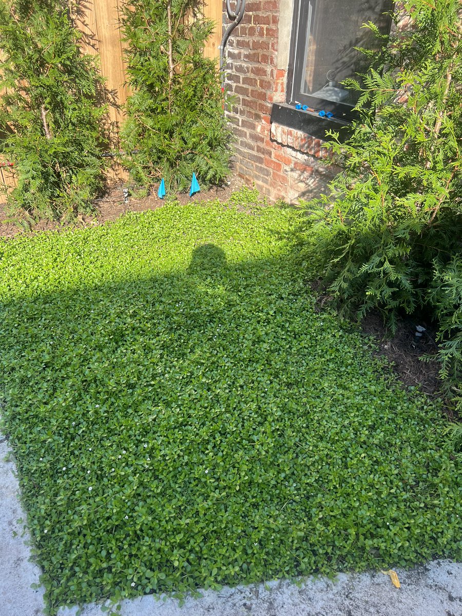 Neil Schroeder tweet media