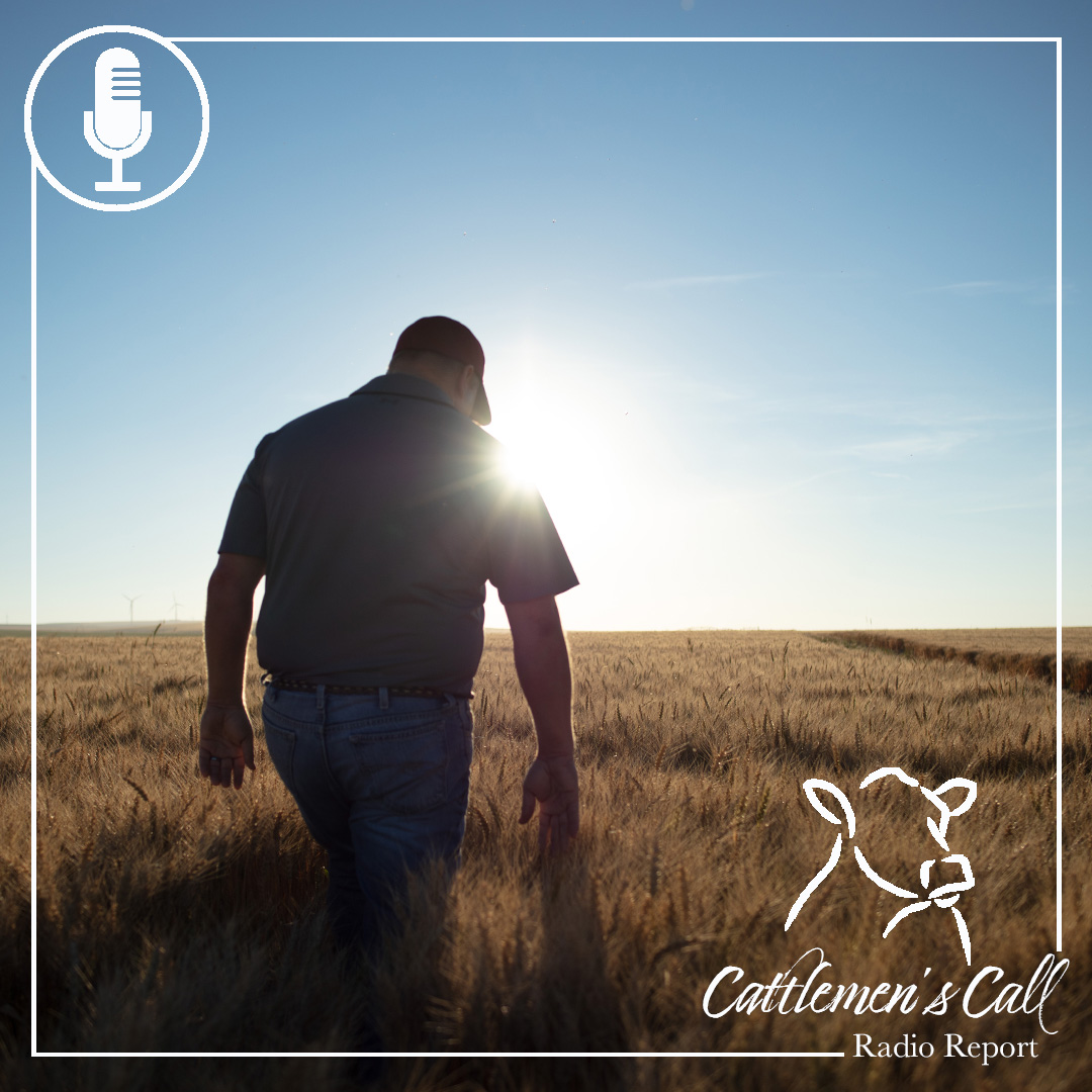 🎙 This week's #SDCACattlemensCall, SDCA's Warren Symens reminds us the importance of mental well-being and that 𝗶𝘁'𝘀 𝗼𝗸𝗮𝘆 𝘁𝗼 𝗻𝗼𝘁 𝗯𝗲 𝗼𝗸𝗮𝘆.

𝐇𝐞𝐥𝐩 𝐢𝐬 𝐚𝐯𝐚𝐢𝐥𝐚𝐛𝐥𝐞: 
📲: 𝟏-𝟖𝟎𝟎-𝟖𝟔𝟔-𝟒𝟑𝟑𝟔
💻: 𝐡𝐭𝐭𝐩𝐬://𝐭𝐢𝐧𝐲𝐮𝐫𝐥.𝐜𝐨𝐦/𝟓𝐣𝟔𝐮𝟖𝐚𝐩𝐦