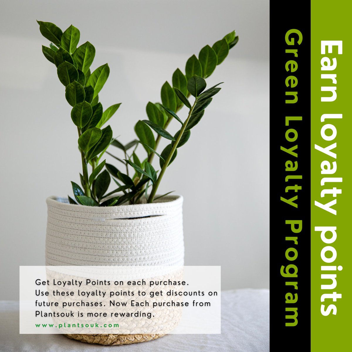 plantsouk's tweet photo. Who Doesn't Love Rewards......And it becomes more rewarding when getting on purchase of your dearest plants, and we made it possible....
Only at https://t.co/H1a7mhUeVW
.

What are you waiting for.......???
Hurry.

#Plantsouk #cashback #loyaltypoints https://t.co/ZCbAskLJGs