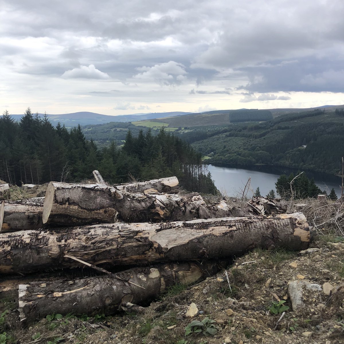gloverstweets's tweet photo. Was chatting to lady up here who remembers this hill before the spruce plantations
I’m not sure a science based approach to Blue Dot catchments is the way ahead, when the issue is really reforming the licensing process https://t.co/3s9a49lvBw