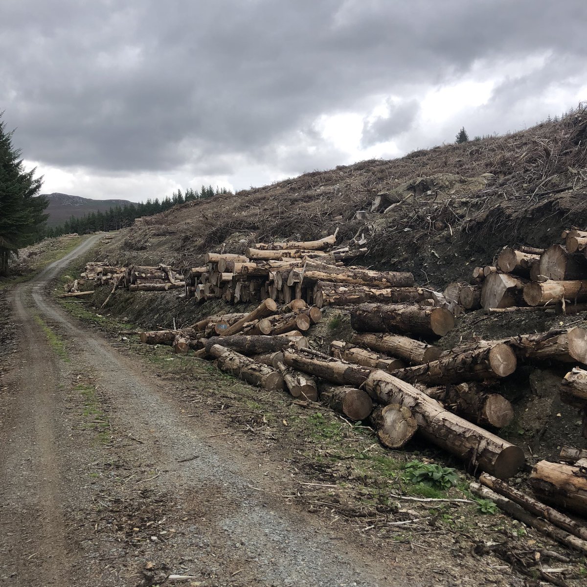 gloverstweets's tweet photo. Was chatting to lady up here who remembers this hill before the spruce plantations
I’m not sure a science based approach to Blue Dot catchments is the way ahead, when the issue is really reforming the licensing process https://t.co/3s9a49lvBw