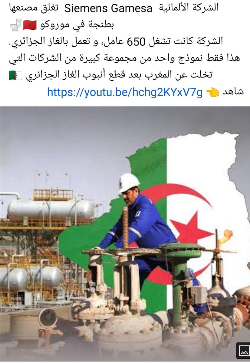 MZalmt's tweet photo. @muslim_flower5 https://t.co/HzE4Nk8gSb