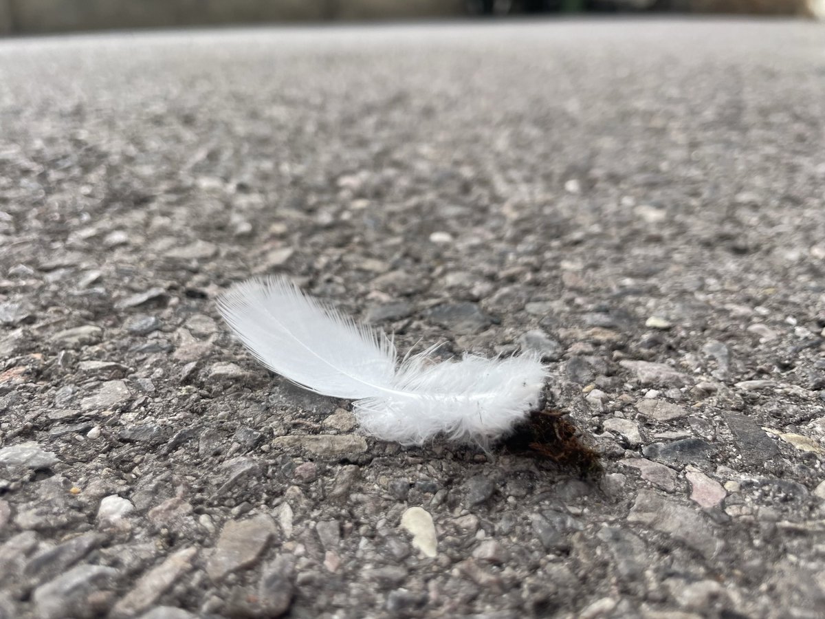 sslickmac's tweet image. Well done Great Britain #QueenElizabethII 🇬🇧found this outside my door this morning