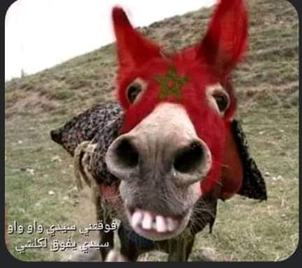 MZalmt's tweet photo. @marzegh @ml_bachir هههههههه https://t.co/PfE8reSbp3