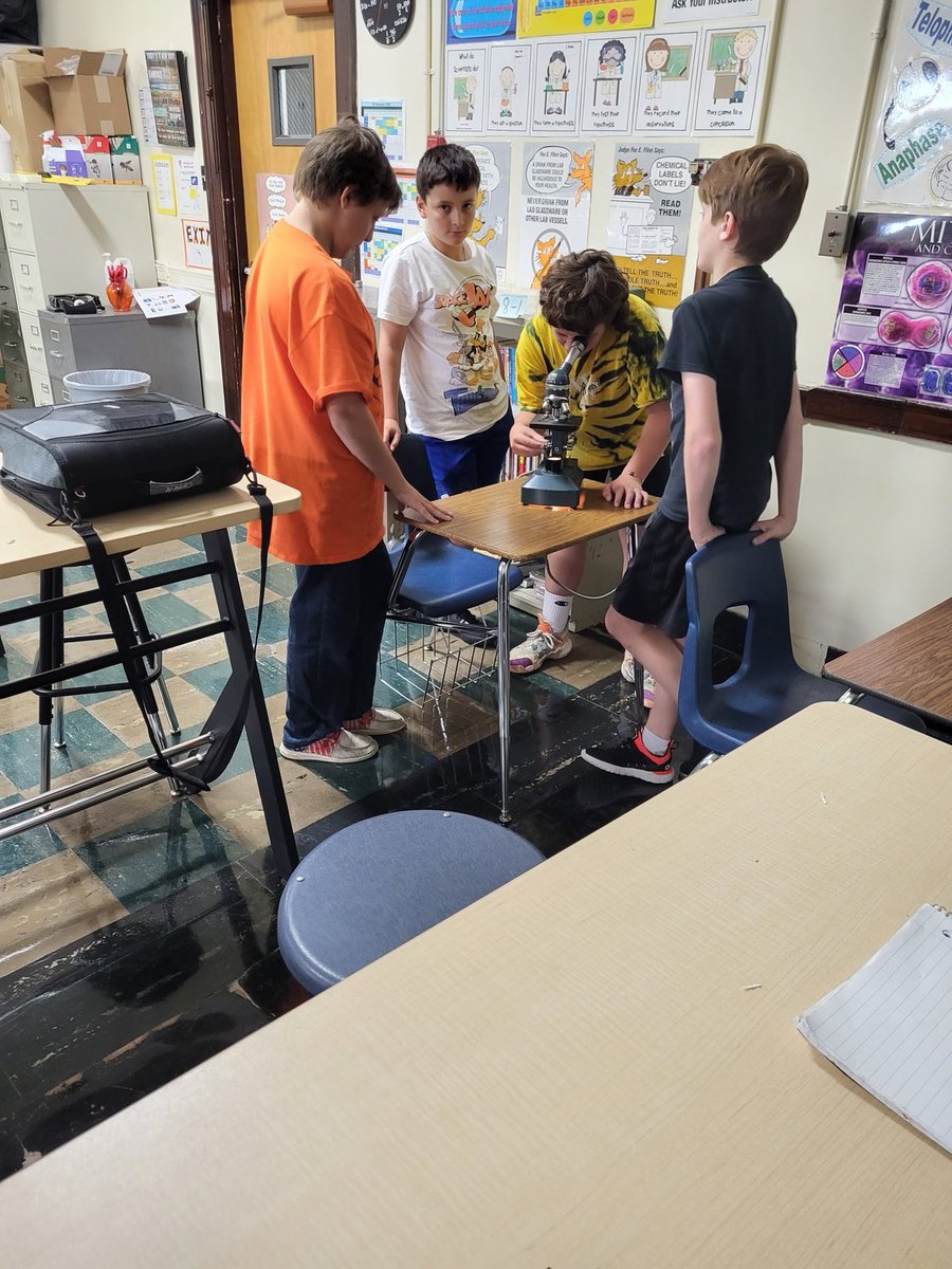 jmclain228's tweet photo. What do we see in pond water. 7th grade. https://t.co/sY6pl2yYBP