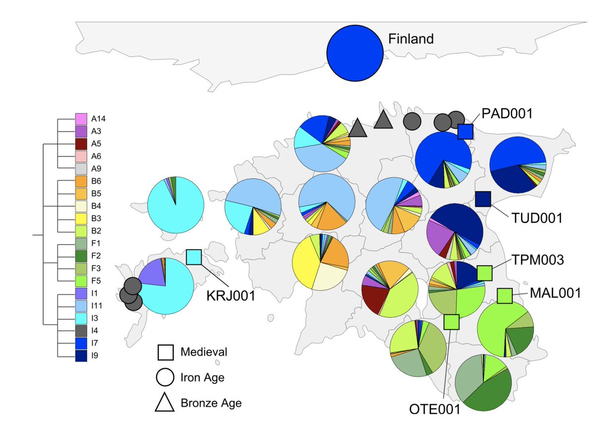 Nemets on Twitter "RT jurgenfug People often underestimate the