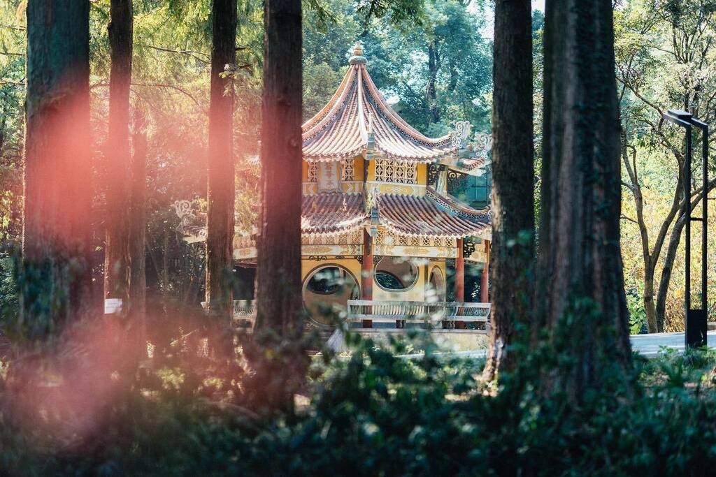 imaxweller's tweet photo. #蓊荟亭
.
#武汉 #东湖 #武汉植物园 #石蒜 #红花石蒜
#wenghuipavilion #wuhanbotanicalgarden #wuhan
#explorewuhan #imaxwellerexplorewuhan
#imaxweller20220918 https://t.co/tsYpj9KYeW https://t.co/jPe2xDXUW3