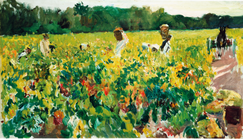 MuseoSorolla's tweet photo. El fin del verano trae consigo la fiesta de la vendimia como muestra este carrusel de imágenes de los nueve estudios que conservamos en el @museo_sorolla sobre la recogida de la uva que el pintor realizó en la localidad gaditana de Jerez de la Frontera.🍇🍇🍇🍇🍇#HiloSorolla https://t.co/3kzkigaT67
