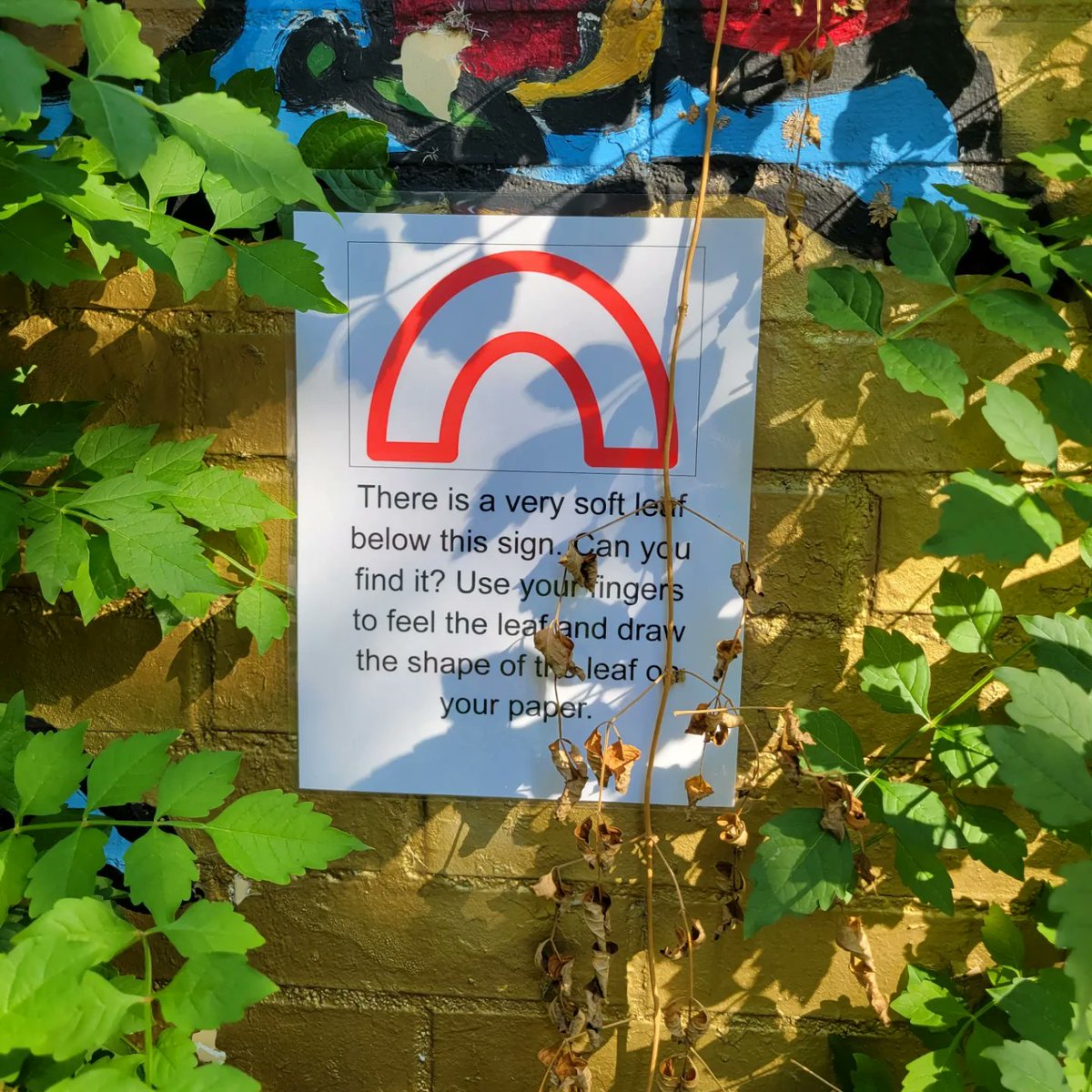 HeyBccs's tweet image. It&apos;s a beautiful day to learn in the BCCS garden! Carpe diem everyone! @D16Earlyed @NequanMclean @BKNorthNYCDOE @stefanizinerman @OsseChi #welovebccs