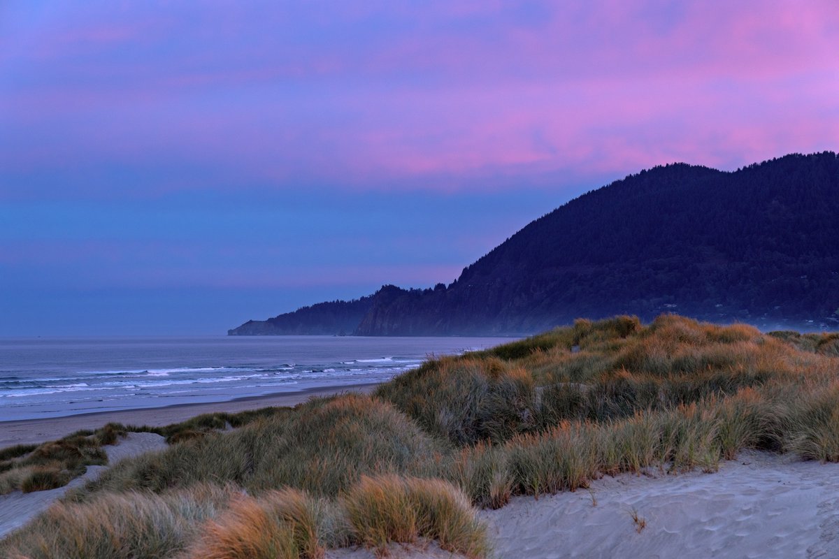 Mike Jacobs 🏳️🌈 tweet media