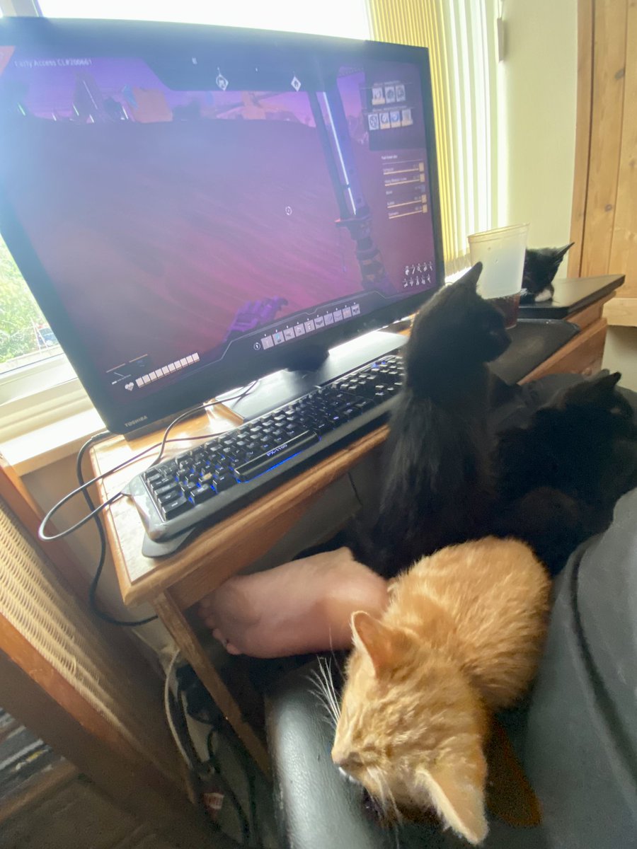 TomlintheWelsh's tweet photo. Kittens judging my builds @SatisfactoryAF @Coffee_Stain https://t.co/S8yTx7diVu