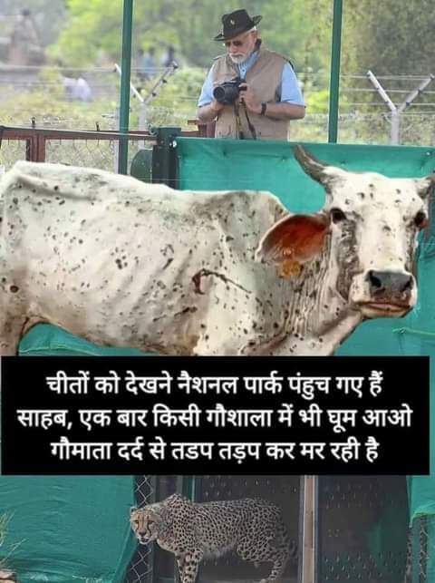 jayantdeshm's tweet photo. #Love towards #Cow #mother ... Explained..!!

#SaveCowSaveVillages #Farmers #cowmother #ModiGoBack #Queen #PRIDE #farming #SaveCow #PhotoOfTheDay #photo #CovidIsNotOver https://t.co/QbcJAbMSl8