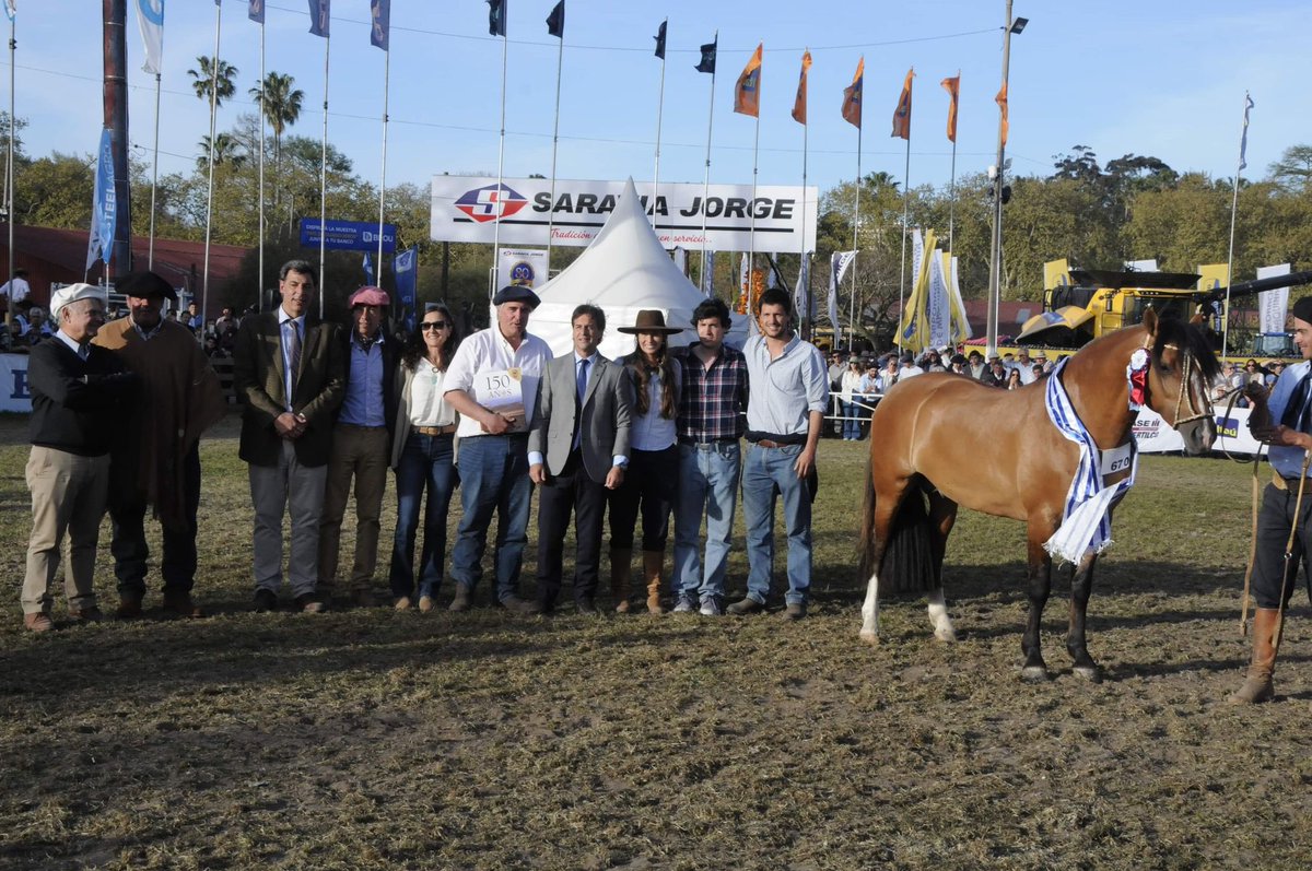 juanimontans's tweet photo. Un Prado para el recuerdo!
Gran Campeón y Reservada Gran Campeona.
Una actividad que es familiar, hobby, trabajo, motivo de charlas y viajes. Una alegría enorme que es para toda la familia, un reconocimiento grande para mi padre, madre y Mauge. https://t.co/qQRnbjtNKa
