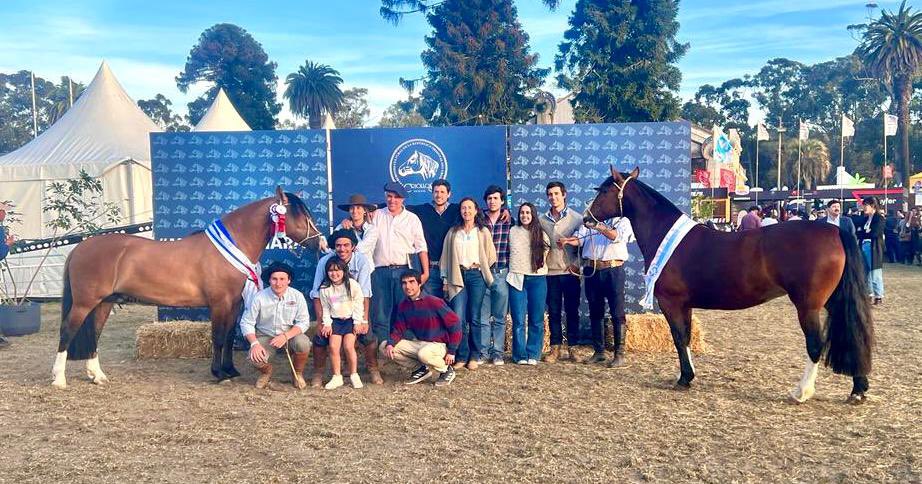 juanimontans's tweet photo. Un Prado para el recuerdo!
Gran Campeón y Reservada Gran Campeona.
Una actividad que es familiar, hobby, trabajo, motivo de charlas y viajes. Una alegría enorme que es para toda la familia, un reconocimiento grande para mi padre, madre y Mauge. https://t.co/qQRnbjtNKa