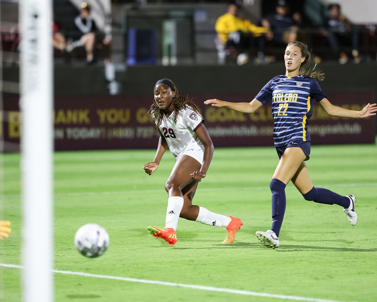 Steve Chadwick Photography tweet media