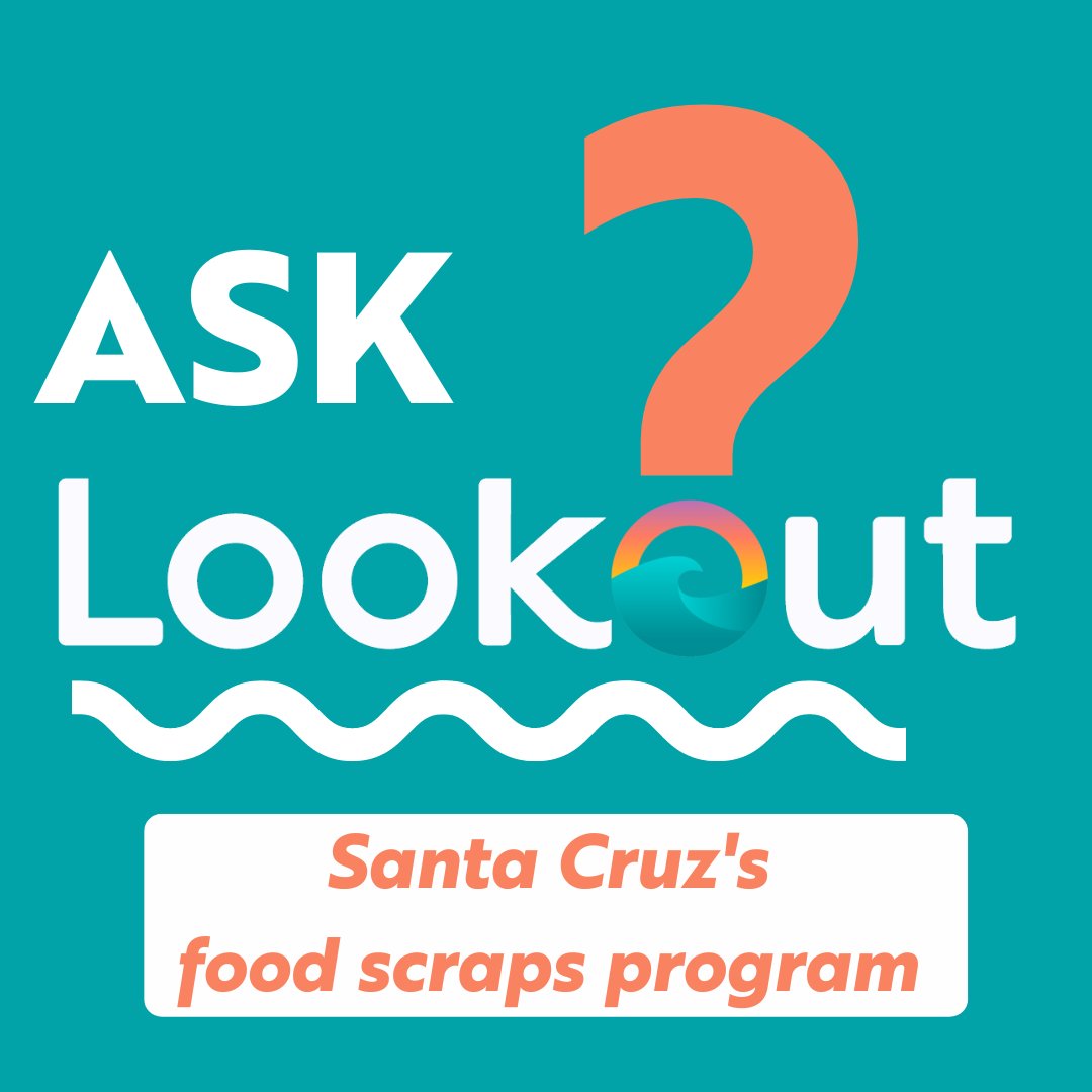 Lookout Santa Cruz tweet media
