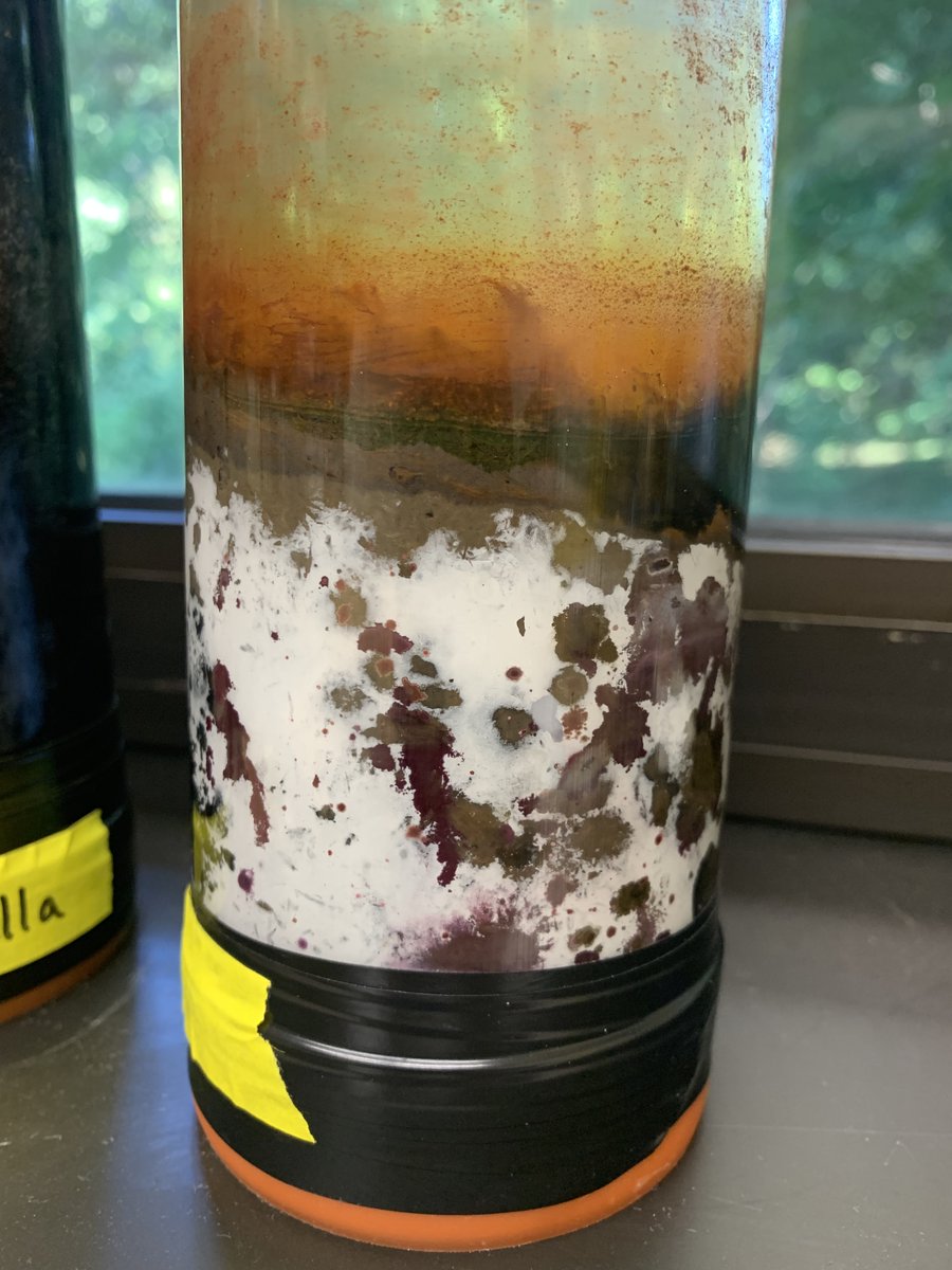 LowSulfate's tweet photo. @kopf_lab @MBLScience @Team_SWI 👋 https://t.co/vNeD48pHIW