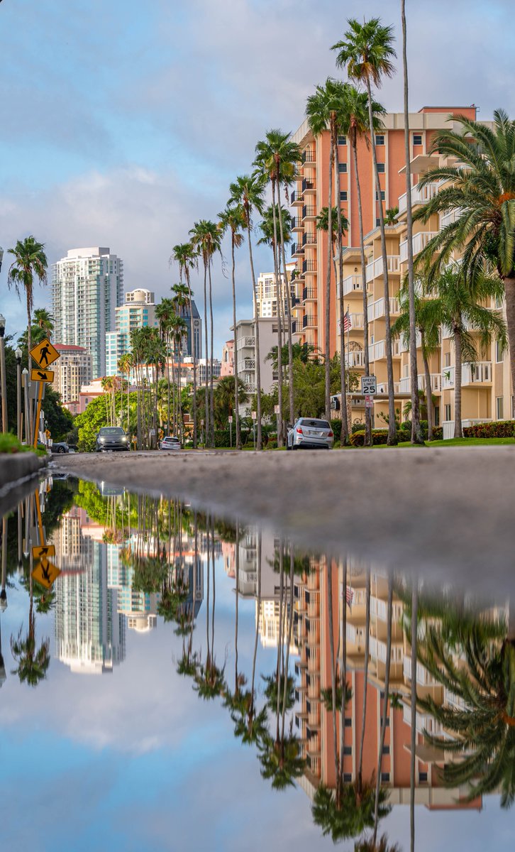 VisitSPC's tweet image. Would you look at that, The Sunshine City is looking twice as nice on this beautiful Monday morning! ✌️☀️🌴 #StPete #Florida