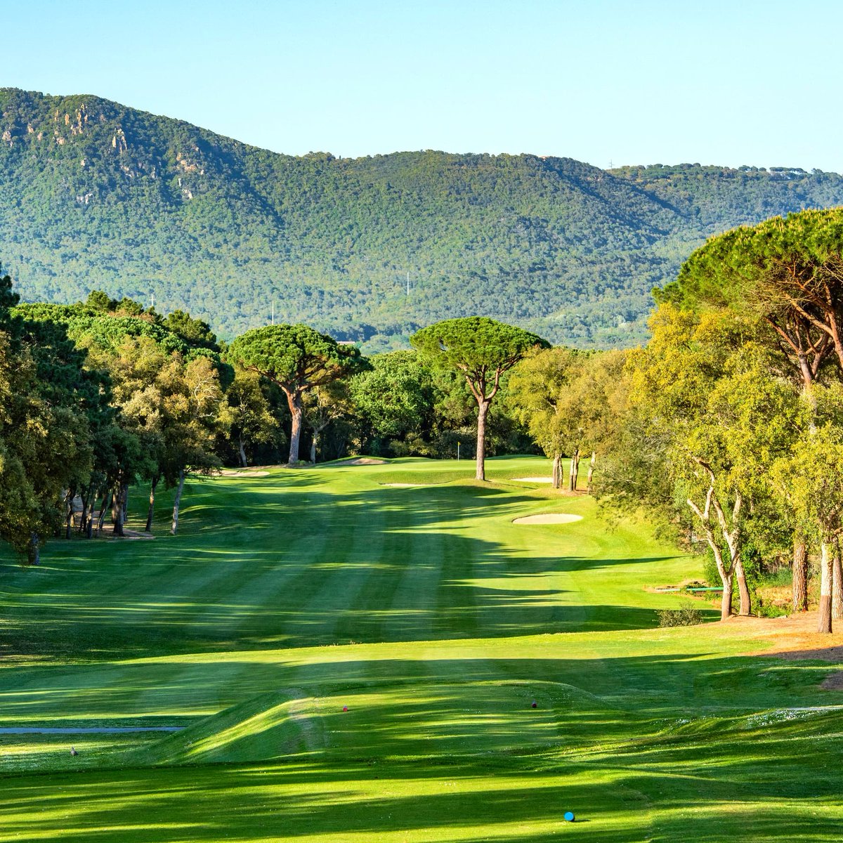 Leading Courses tweet media