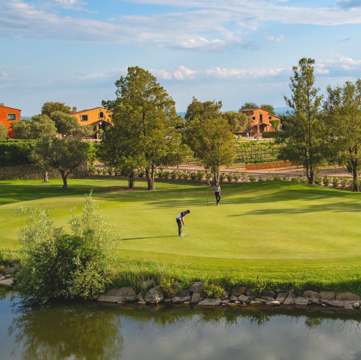Leading Courses tweet media