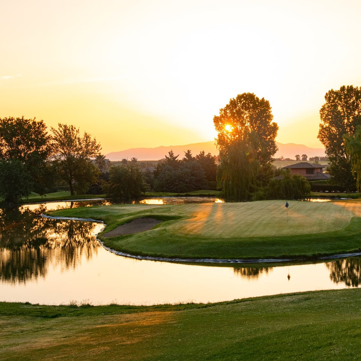 Leading Courses tweet media
