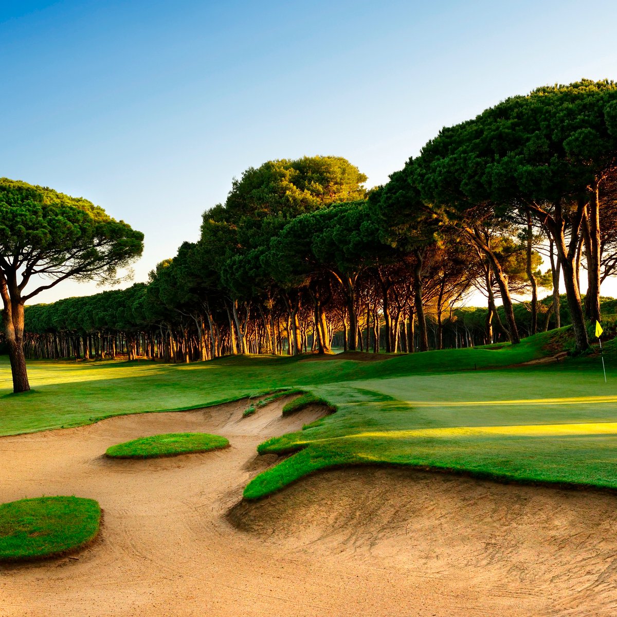 Leading Courses tweet media