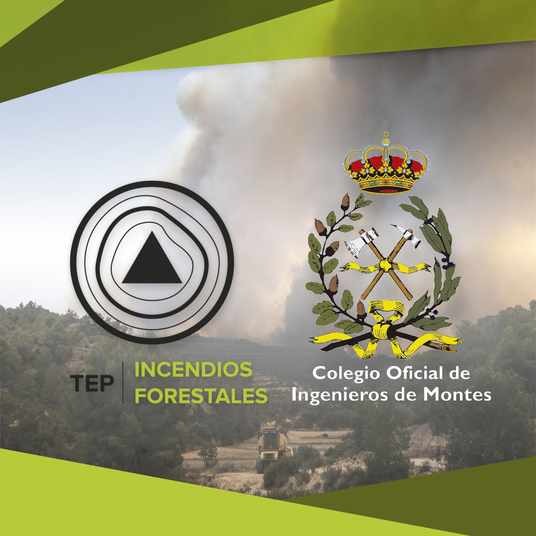 emerprogram's tweet photo. Queremos anunciaros nuestra colaboración con 
@ingdemontes, una institución que confía en #TEP para ser parte de la formación continua que ofrecen. 📝
🗓️Tenéis hasta el 30/09 para apuntaros a #TEPAdvance, con descuento para colegiadxs o precolegiadxs
⬇️
https://t.co/2q2b6Nd1n6 . https://t.co/6dk1h21tur