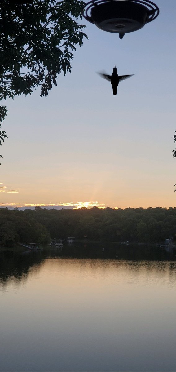 CathyStockton3's tweet photo. With the start of a beautiful new day, I pray that God finds a way to fill this one with success instead of failure.. And happiness instead of the grief of the past few!!! Be thankful, be kind, find a beautiful blessing today my friends 🥰!! https://t.co/IyMeg2fF2W