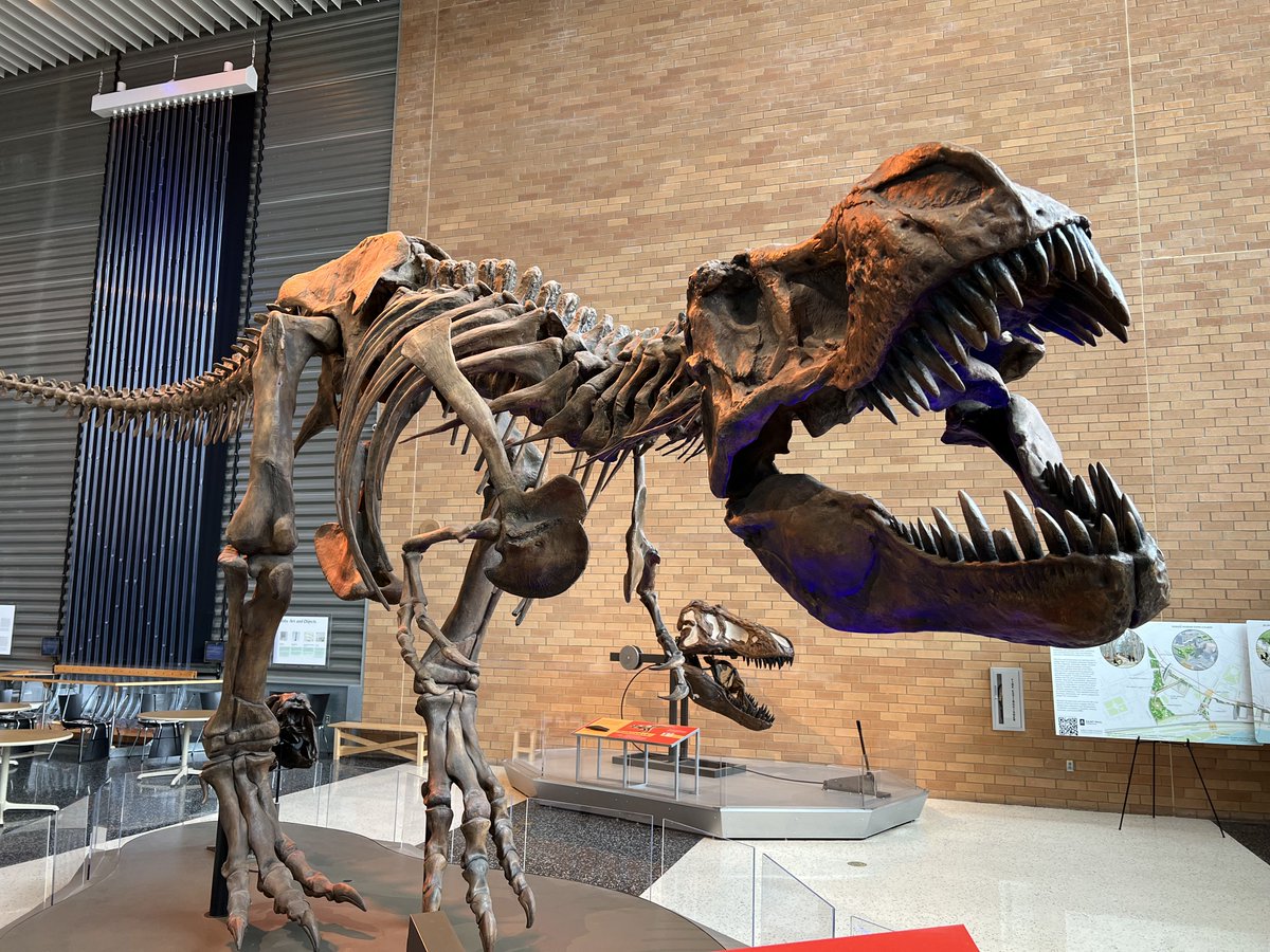 Welcome to the #TCSW2022 Spotlight Track broadcasting live from the <a href="/sciencemuseummn/">Science Museum of Minnesota</a> (presented by <a href="/spmcfoundation/">Saint Paul & Minnesota Foundation</a>)!

Attending in-person? Head to the check-in desk at the main entrance (near our friend 🦖).

Joining virtually? Register on Hopin here: hubs.ly/Q01mBKHH0