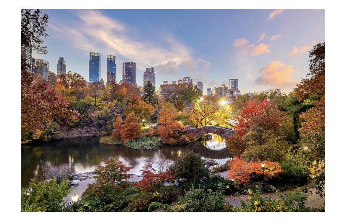 Heading to NY for #UNGA &amp; #ClimateWeekNYC,the equivalent to Fashion Week for sustainability professionals.😊Excited to represent <a href="/illumina/">Illumina</a> on the NetZero #CDP panel, discuss health equity &amp; intersection of climate change at #WEF session, attend #devex fireside chats, &amp; many more!