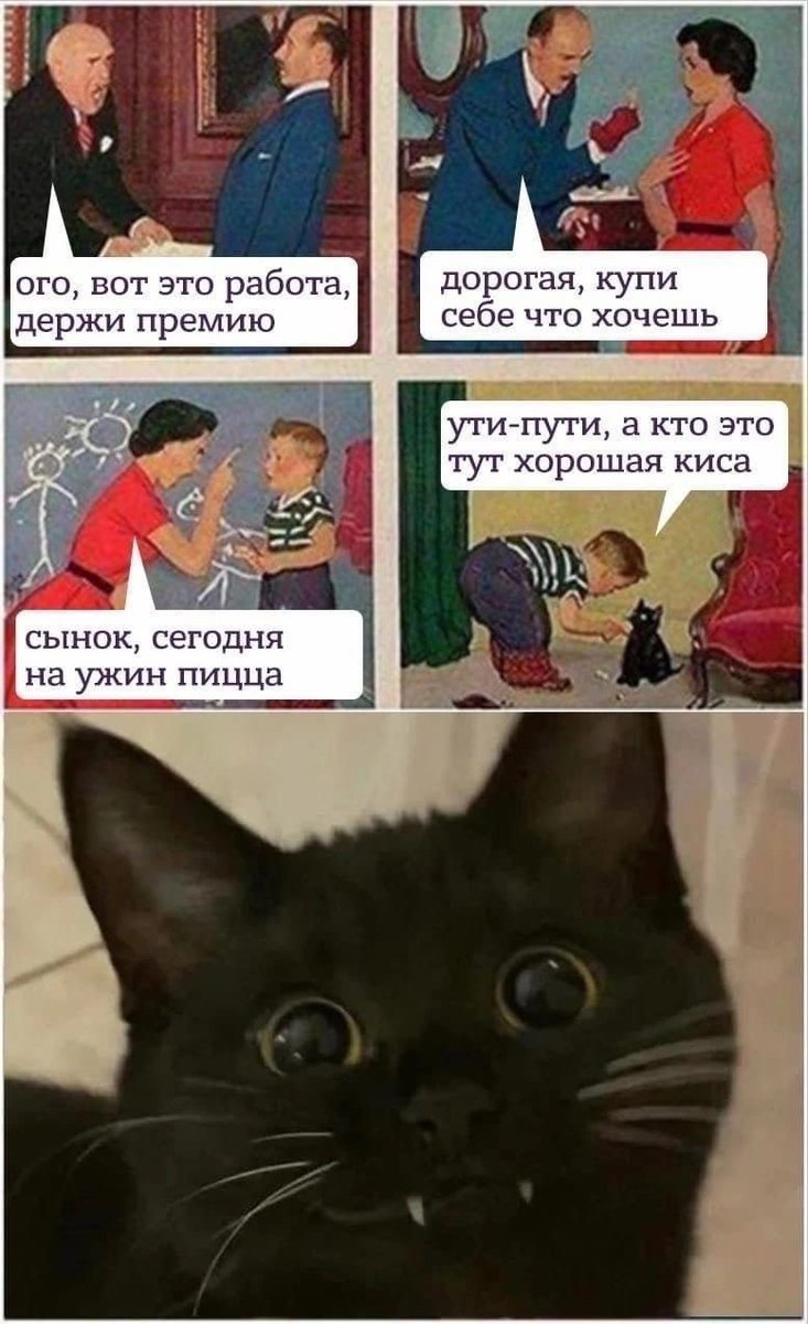 A_Kapustin tweet picture