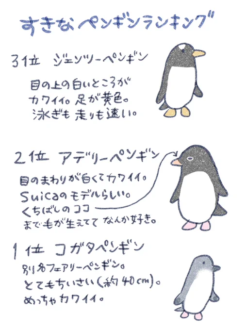 🐧 