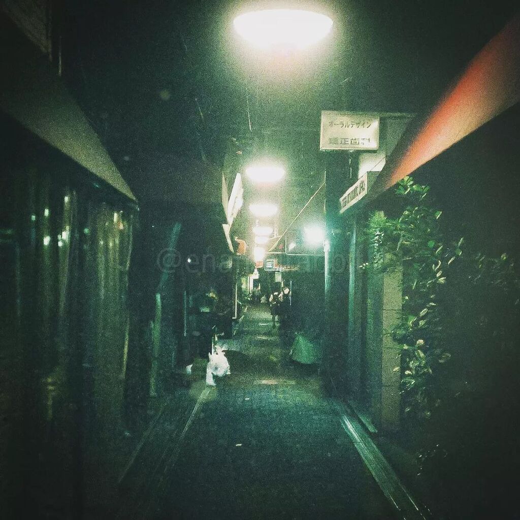 鶴橋 Twitter Search Twitter