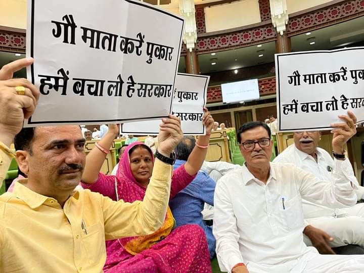 burdak77's tweet photo. #Rajasthan
#RLP MLA from #khivsar Assembly constituency narayan beniwal a cow outside the Assembly premises to draw the #Rajasthan government's attention towards the lumpy skin disease.
@NarayanBeniwal7 https://t.co/PTM3ARXEED