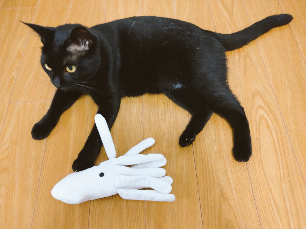 Tam Ai Tam Anago Twitter Tam Ai Tam Anago Twitter