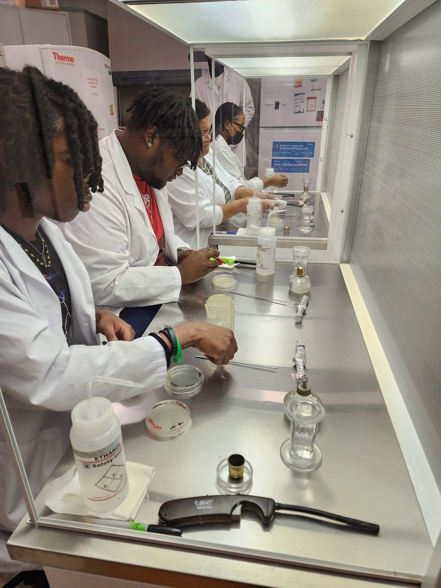 revealplant's tweet photo. Experiment back on track in Molecular Biology #ECSU (yours truly was a bit 🤒). Students streak, inoculate, and extract 2 different plasmid DNA (+/- sugars in media) #undergradsinthelab. One had bfp to match uni colors. Some fun also #AgarArt. Onto the next steps. #HBCU https://t.co/vXFa8nmRWa