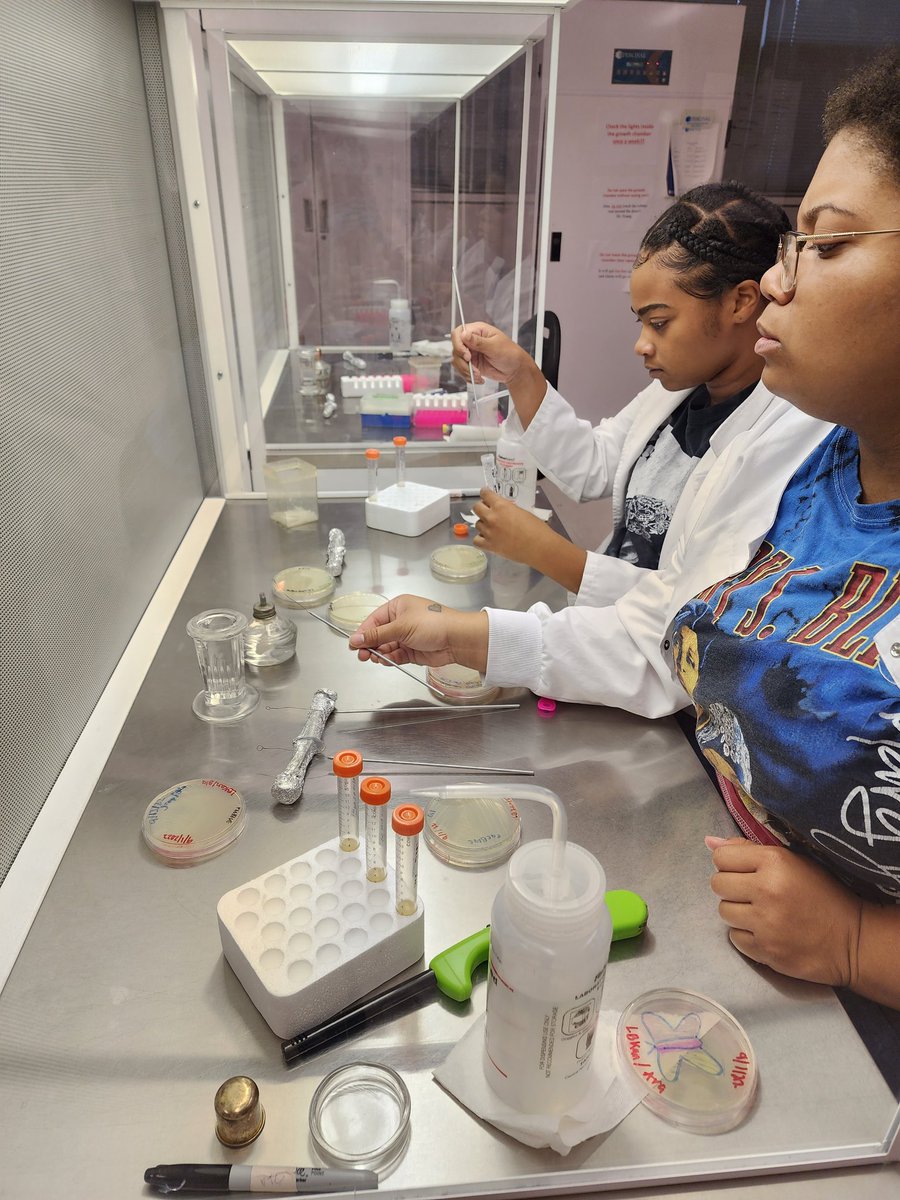 revealplant's tweet photo. Experiment back on track in Molecular Biology #ECSU (yours truly was a bit 🤒). Students streak, inoculate, and extract 2 different plasmid DNA (+/- sugars in media) #undergradsinthelab. One had bfp to match uni colors. Some fun also #AgarArt. Onto the next steps. #HBCU https://t.co/vXFa8nmRWa