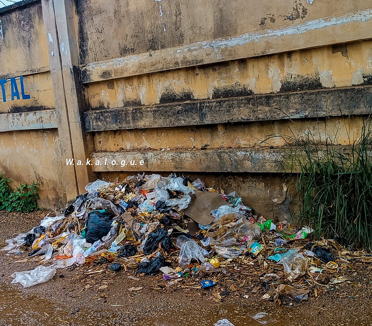 Mfon__Udoh's tweet photo. Today.
And just by the entrance of a University Teaching Hospital.
Just how?
#keepplateauclean #keepjosclean https://t.co/sRRsW1zVLu